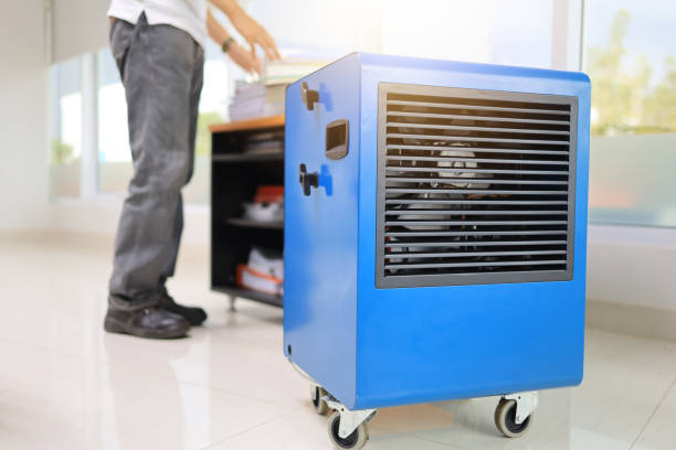 Best Industrial Mold Remediation  in Bridge City, TX